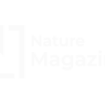 img20.png